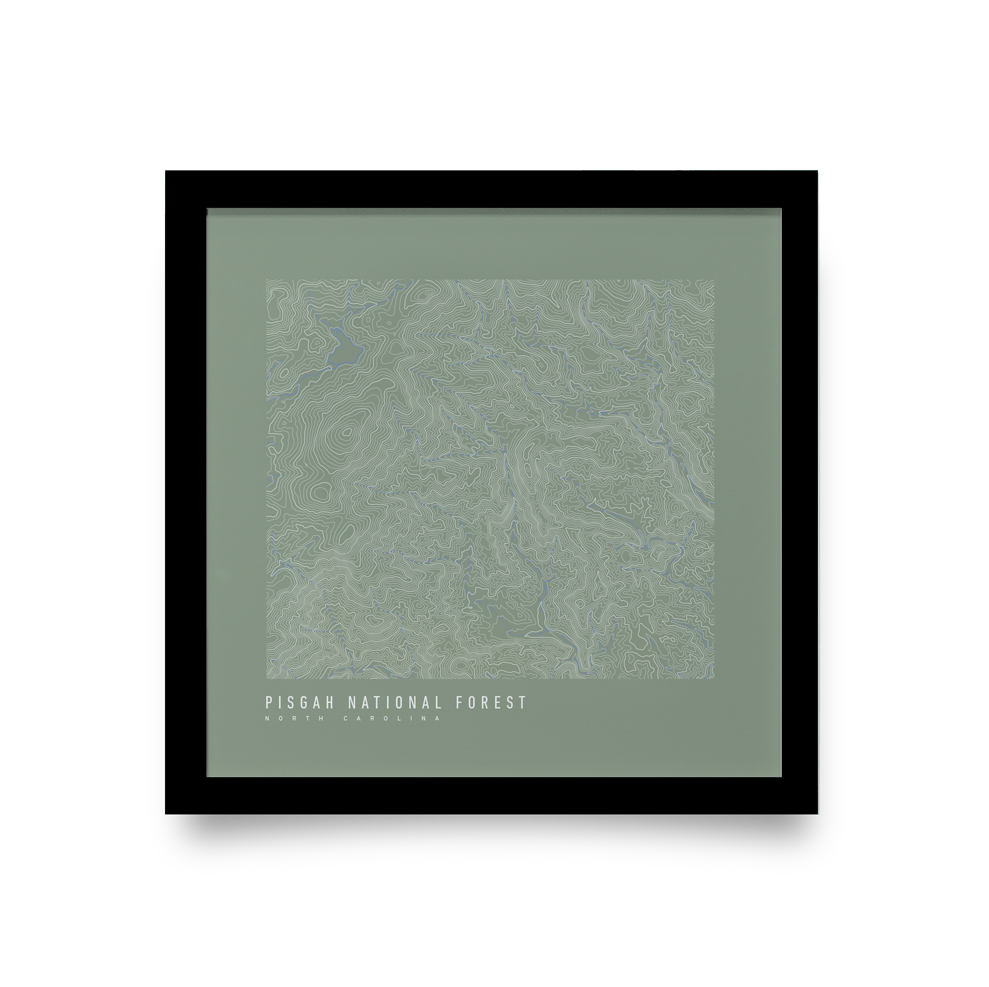 Pisgah National Forest Topo Map (Green)