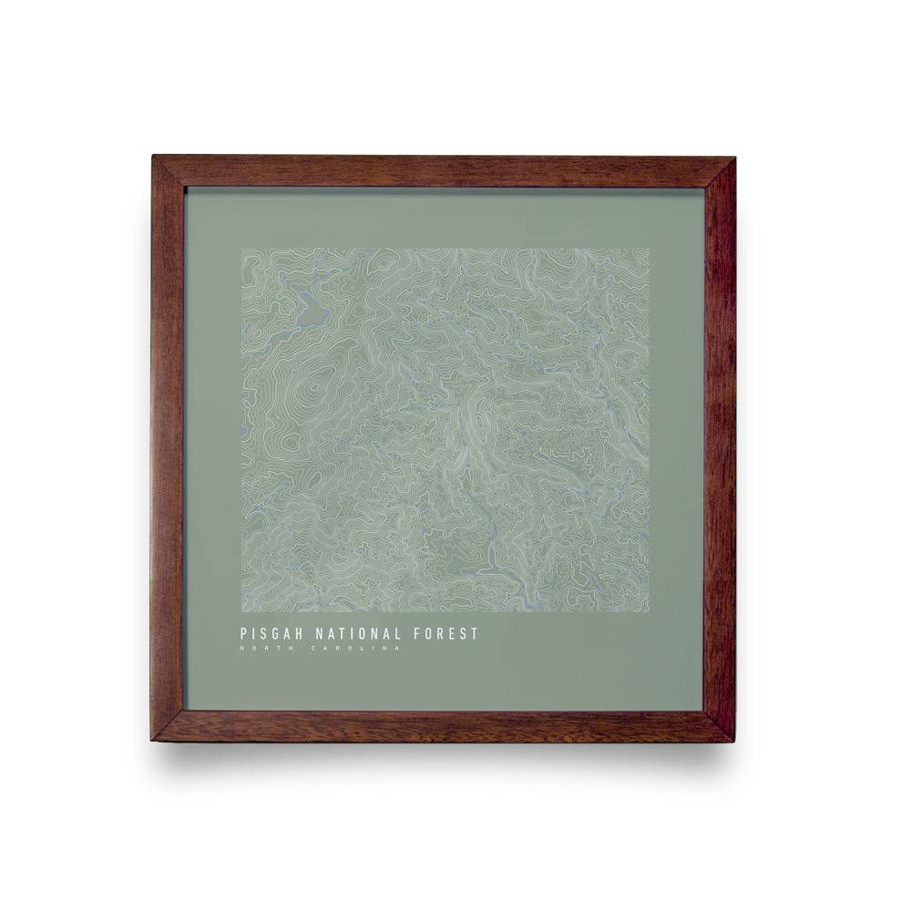 Pisgah National Forest Topo Map (Green)
