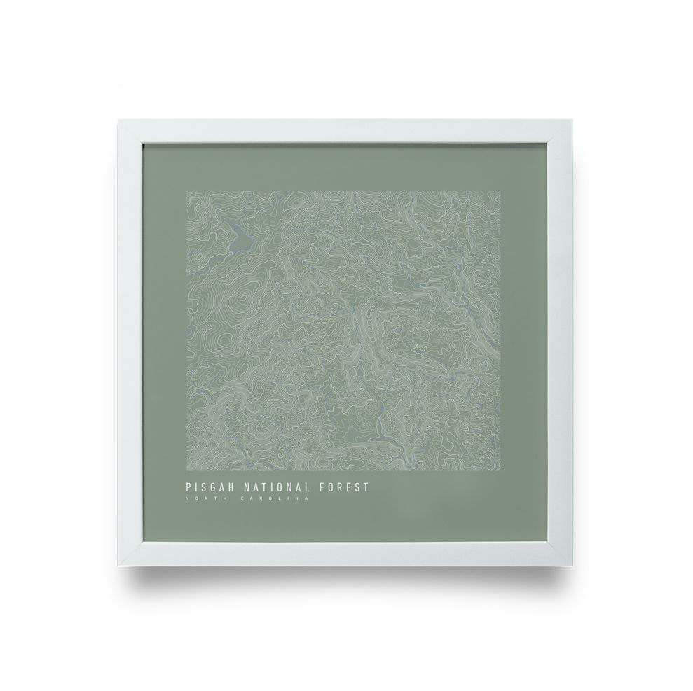 Pisgah National Forest Topo Map (Green)