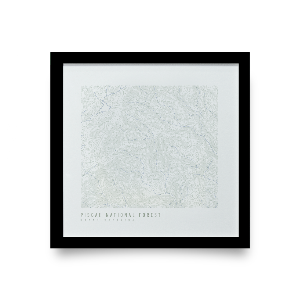 Pisgah National Forest Topo Map (White)