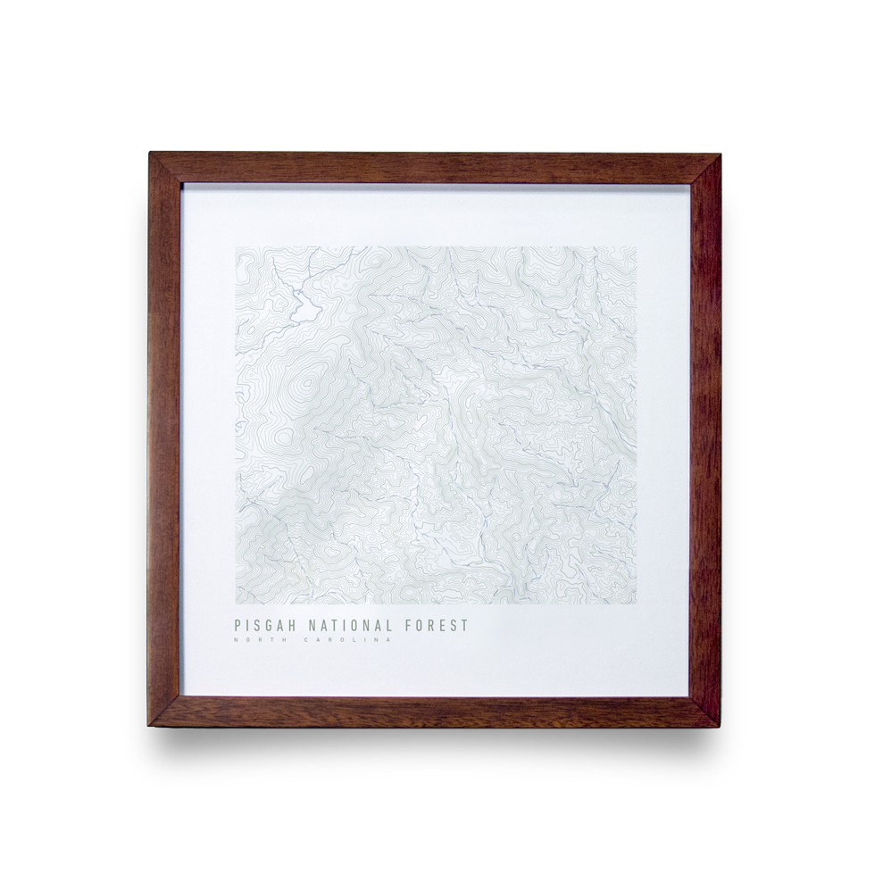 Pisgah National Forest Topo Map (White)