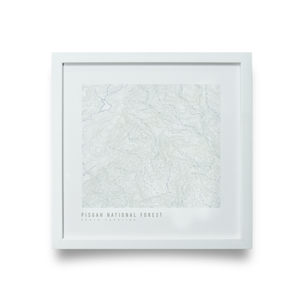 Pisgah National Forest Topo Map (White)