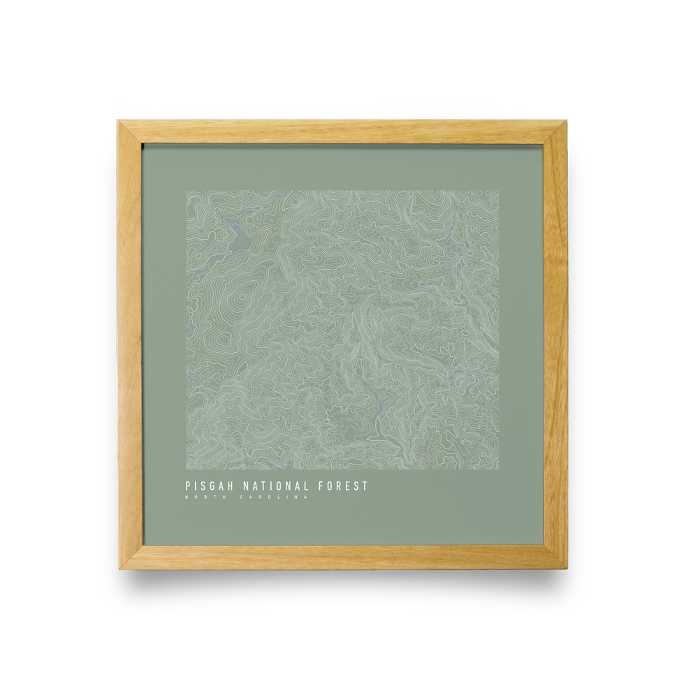 Pisgah National Forest Topo Map (Green)