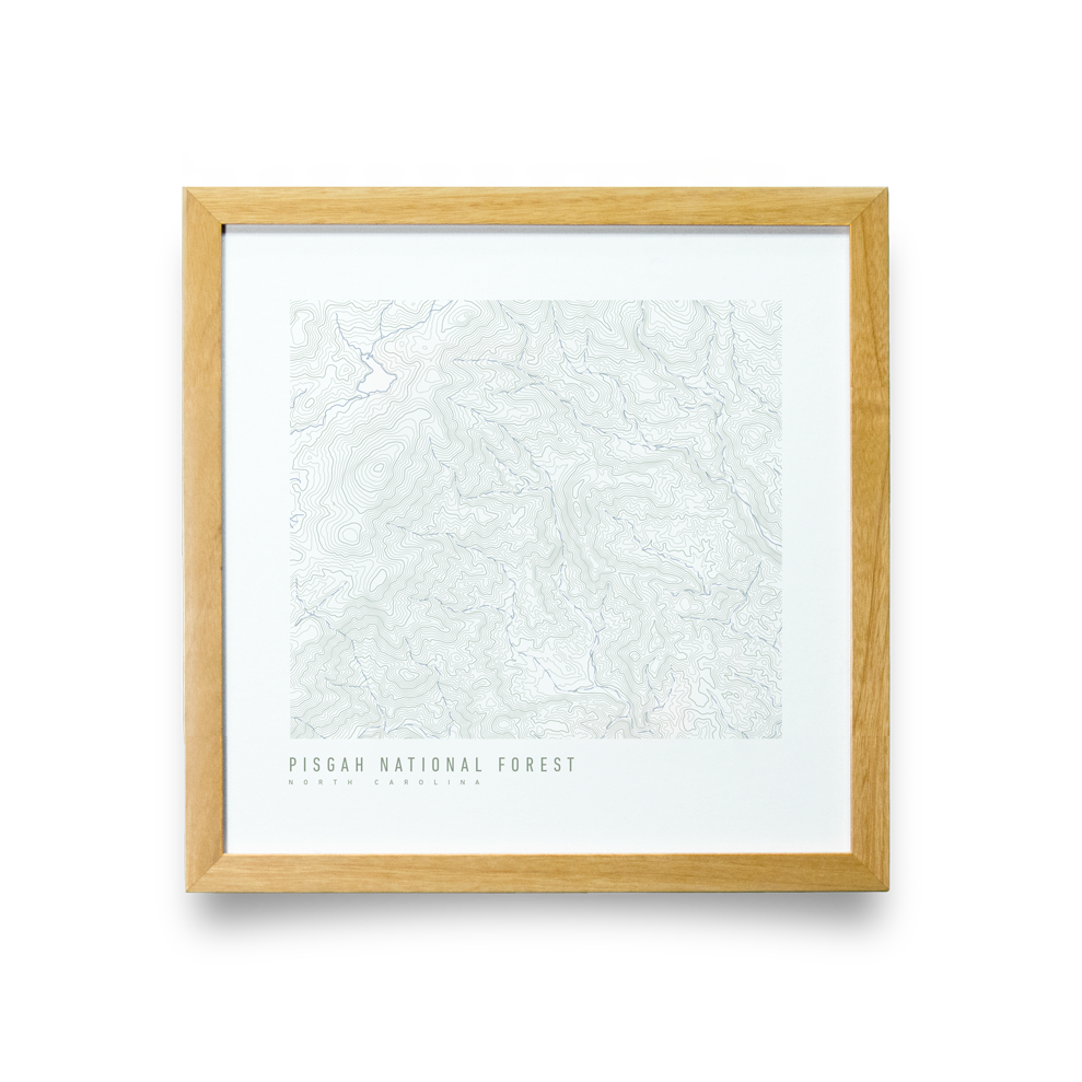 Pisgah National Forest Topo Map (White)